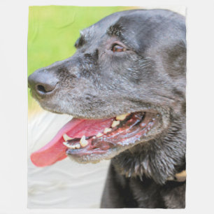 Älterer Labrador Fleecedecke
