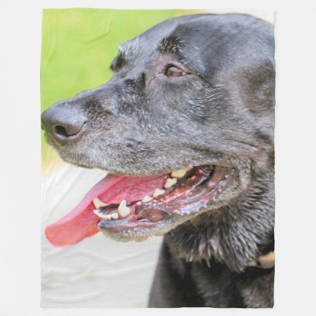 Älterer Labrador Fleecedecke (Vorderseite)