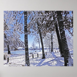 "ÄLTERER PARK IM SCHNEE" POSTER
