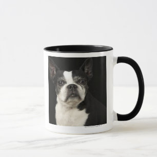 Älteres Bosten Terrier auf schwarzem Hintergrund Tasse