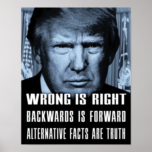 Alternative Fakten sind Wahrheit - Anti-Präsident  Poster (Vorne)