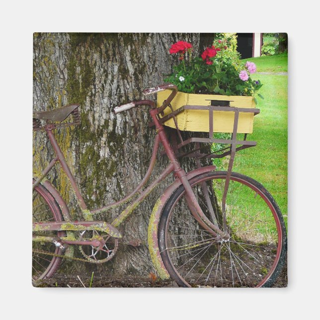 Altes antikes Fahrrad mit Blume Basket Magnet (Vorne)