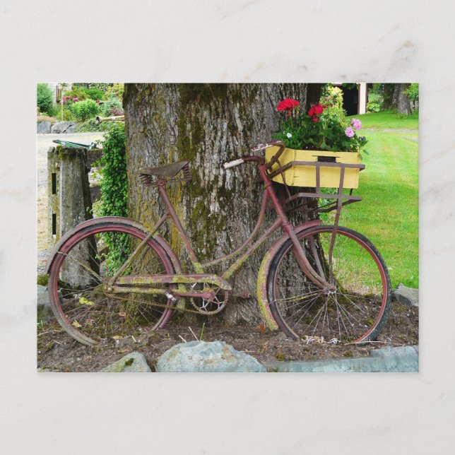 Altes antikes Fahrrad mit Blume Basket Postkarte (Vorderseite)