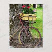 Altes antikes Fahrrad mit Blumenkorb