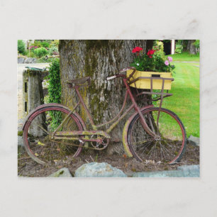 Altes antikes Fahrrad mit Blumenkorb Postkarte