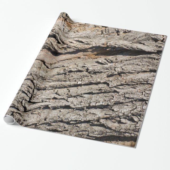 Altes Baumuster Geschenkpapier (Ungerollt)