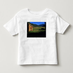 Altes Blockhaus in der Nähe von Park City, Utah. ( Kleinkind T-shirt
