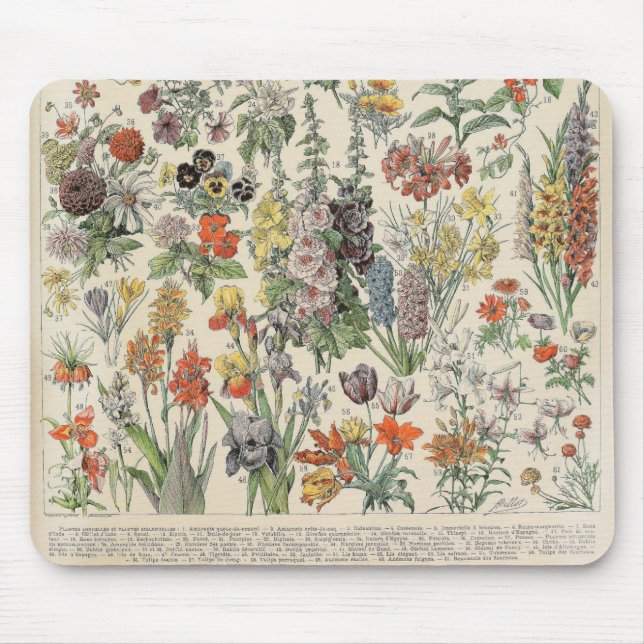 Altes Botanisches Muster Mousepad (Vorne)