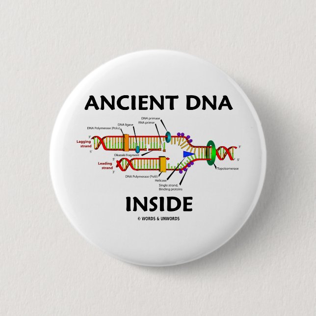 Altes DNA-Innere (DNA-Reproduktions-Spaß) Button (Vorderseite)