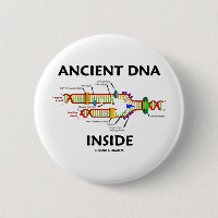 Altes DNA-Innere (DNA-Reproduktions-Spaß)