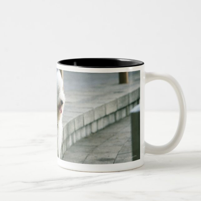 Altes englisches Schäferhund2 Zweifarbige Tasse (Rechts)