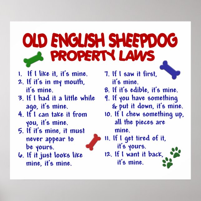 ALTES ENGLISCHES SCHEEPDOG PL2 POSTER (Vorne)