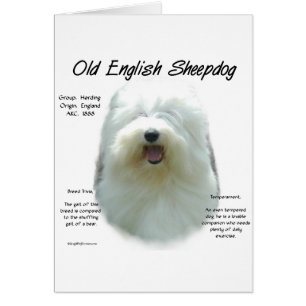 Altes englisches Sheepdog-Geschichtsdesign