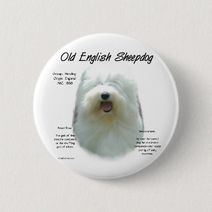 Altes englisches Sheepdog-Geschichtsdesign Button