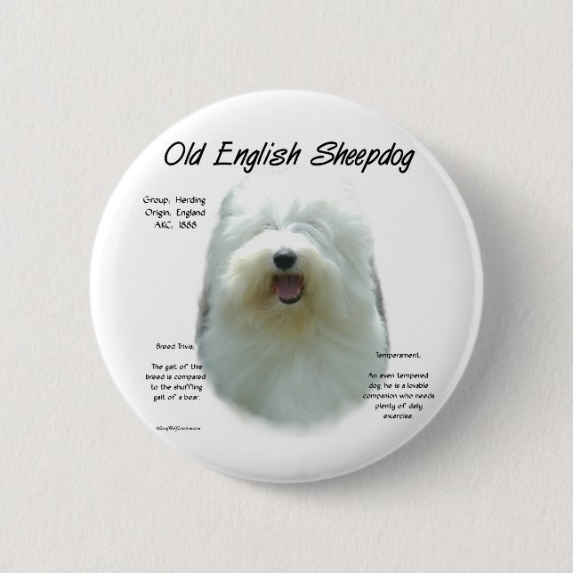 Altes englisches Sheepdog-Geschichtsdesign Button (Vorderseite)