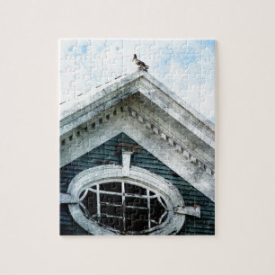 Altes Fenster und Taube
