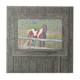 Altes Fensterpony 1 Fliese