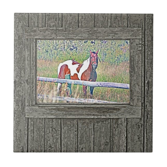 Altes Fensterpony 1 Fliese (Vorderseite)