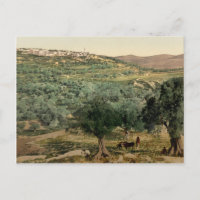 Altes Foto der Samaria, im heiligen Land