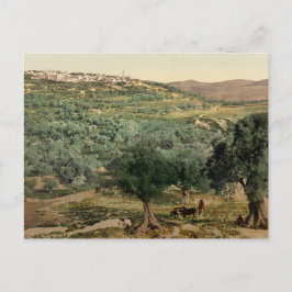Altes Foto der Samaria, im heiligen Land Postkarte