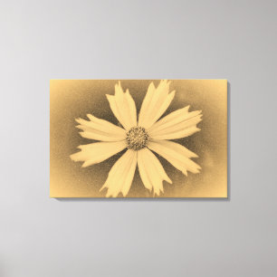 Altes Foto Gelbe Kosmosblume Nahaufnahme 3 Leinwanddruck
