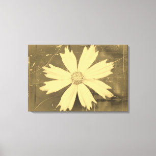 Altes Foto Gelber Kosmos Blume Nah-up 2 Leinwanddruck