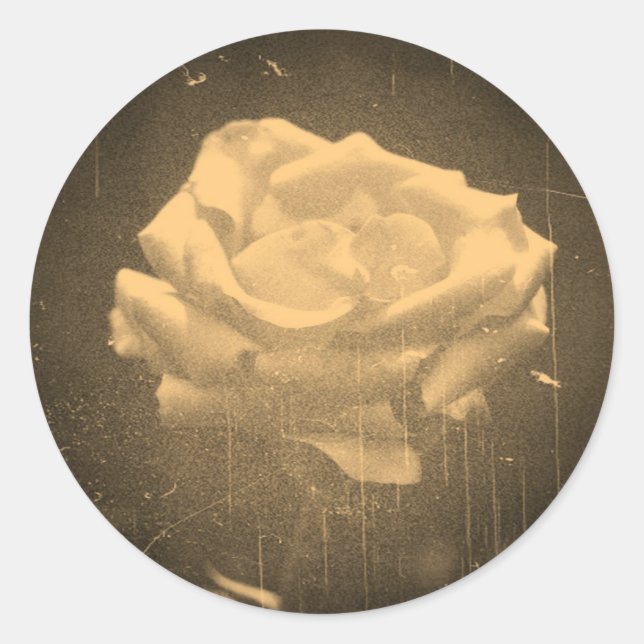 Altes Foto Schöne Rosa Rose Nah-up Runder Aufkleber (Vorderseite)
