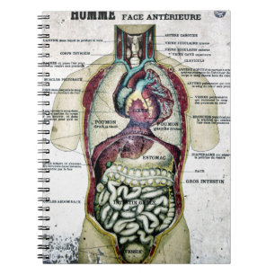 Altes französisches Anatomie-Notizbuch Notizblock
