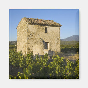 Altes Haus in Comtat Venaissin, Vaucluse, Magnet