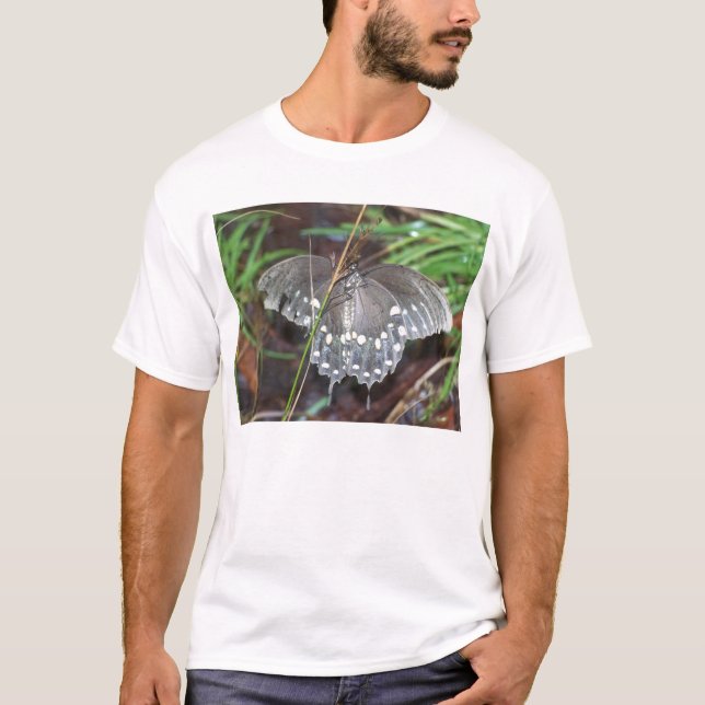 Altes Kriegerisches Shirt (Vorderseite)