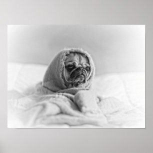 Altes Land Mops Poster