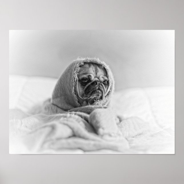 Altes Land Mops Poster (Vorne)