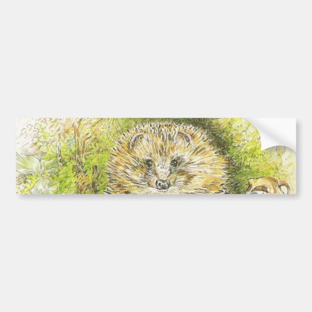 Altes Prickly Button (Igel) (von Beatrix Potter) Autoaufkleber (Vorne)