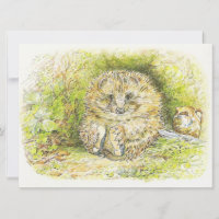 Altes Prickly Button (Igel) (von Beatrix Potter)
