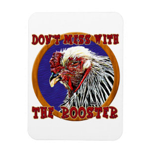 Altes Raster Magnet