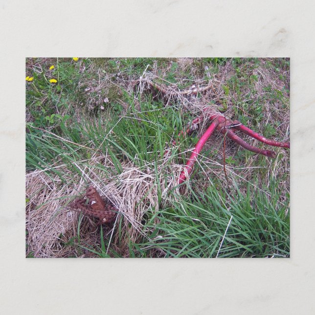 Altes Rotes Bike Postkarte (Vorderseite)