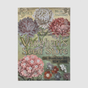 Altes Samenkatalog, 1903, Vaughan's, Astern Seidenpapier