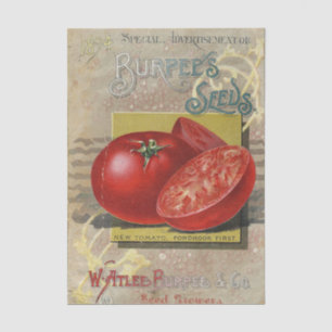 Altes Samenkatalog Burpee's Company 1894 Seidenpapier