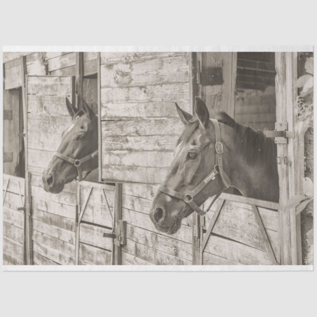 altes stabiles Pferdegewebe Seidenpapier (Vorderseite)