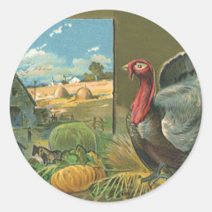 Altes Thanksgiving, Truthahn auf dem Bauernhof Runder Aufkleber