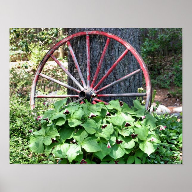 Altes Wagenrad Trillium Blumengarten Poster (Vorne)