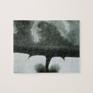 Älteste bekannte Fotografie eines Tornados ab 188