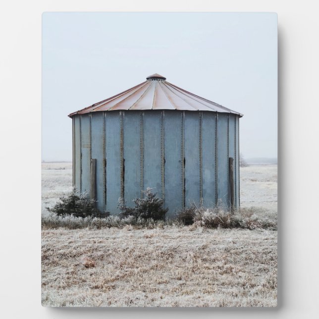 Altgewitterter Körner während der Winterzeit Fotoplatte (Vorderseite)