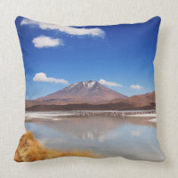Altiplano Landschaft mit Vulkan in Bolivien