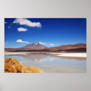 Altiplano-Landschaft mit Vulkan in Bolivien Poster