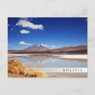 Altiplano Landschaft mit Vulkan in Bolivien Postkarte