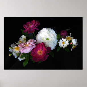 Altmodische Rosen Poster