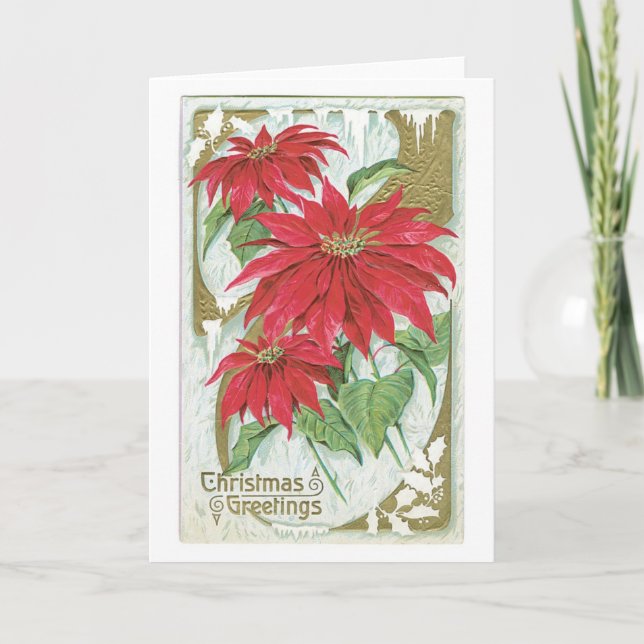 Altmodische Weihnachtspoinsettia Feiertagskarte (Vorderseite)