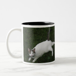 Alvin La Mug De Café Du Chat