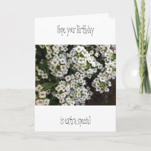 Alyssum Birthday Card Karte